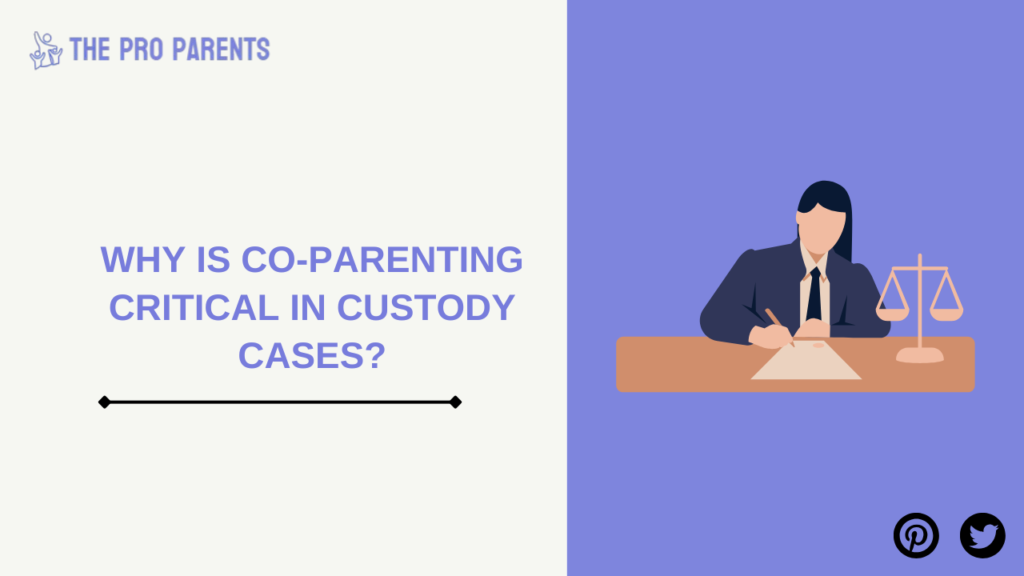 Why Is Co-Parenting Critical in Custody Cases